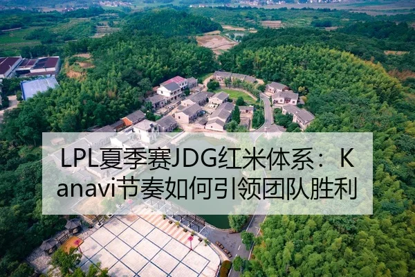 LPL夏季赛JDG红米体系：Kanavi节奏如何引领团队胜利