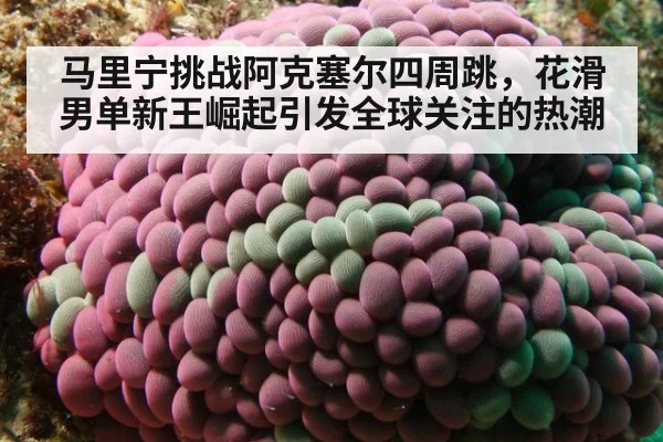 马里宁挑战阿克塞尔四周跳，花滑男单新王崛起引发全球关注的热潮